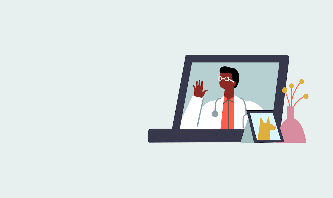 illustration on doctor on a computer monitor for a telehealth visit
