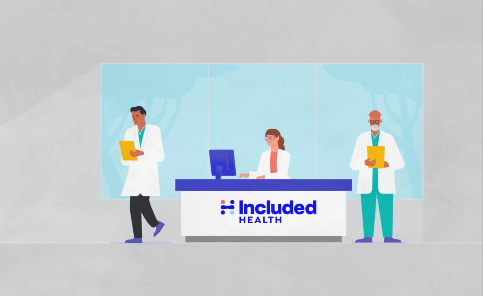 What is an expert opinion