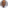 Kris Kelly headshot