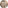 Melissa headshot