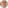 Roslyn Davenport Headshot