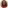 Shivon Jackson-Manuel (Included Health) headshot