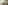 woman sitting on floor in living room using her phone